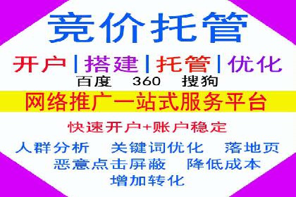 SEM代理服务：案例对比，效果哪家强